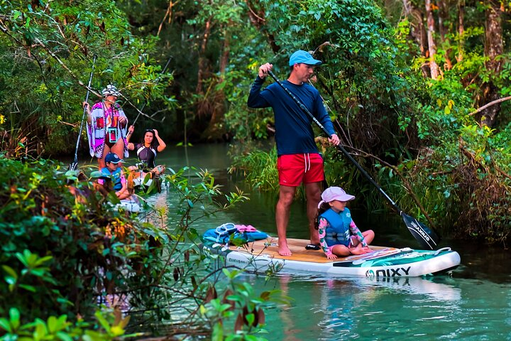 Paddleboard the Clear Waters of Rainbow Springs - Photo 1 of 16